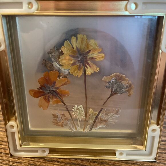 Vintage Framed Real Butterfly Taxidermy Dried  Flowers Diorama - Picture 7 of 7
